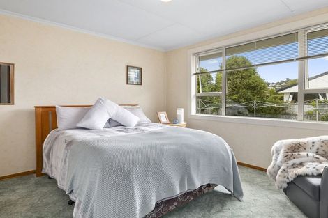 Photo of property in 2/20 Ings Avenue, Saint Clair, Dunedin, 9012