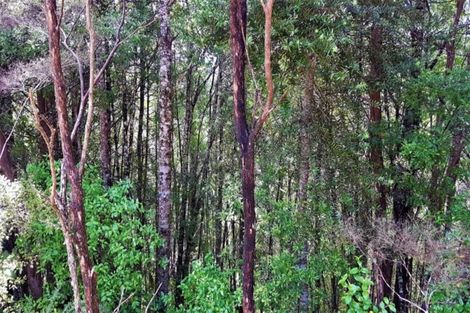 Photo of property in 243 Wright Road, Dairy Flat, Albany, 0794