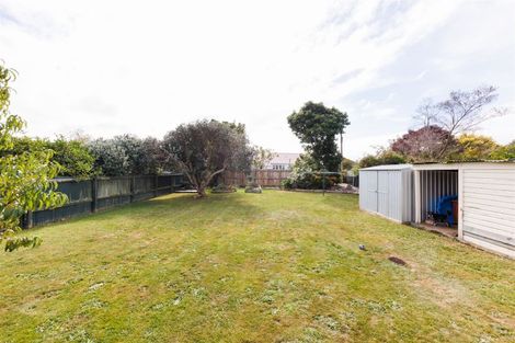 Photo of property in 13 Webb Street, Terrace End, Palmerston North, 4410