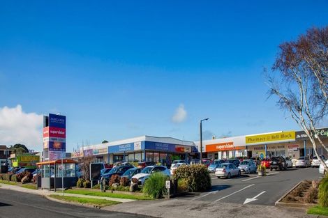 Photo of property in 221 Parklands Avenue, Bell Block, New Plymouth, 4312