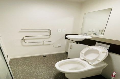 Photo of property in The Peak Apartments, 502/170 Taranaki Street, Te Aro, Wellington, 6011