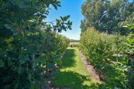 Photo of property in 1156 State Highway 2, Mikimiki, Masterton, 5881