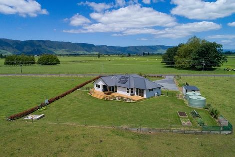 Photo of property in 685 Wardville Road, Wardville, Waharoa, 3474