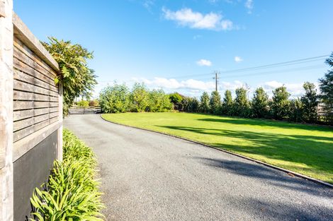 Photo of property in 168 Hansen Road, Makauri, Gisborne, 4071