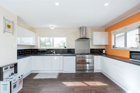 Photo of property in 19 Caernarvon Street, Dinsdale, Hamilton, 3204