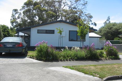 Photo of property in 17 Ferndale Place, Feilding, 4702