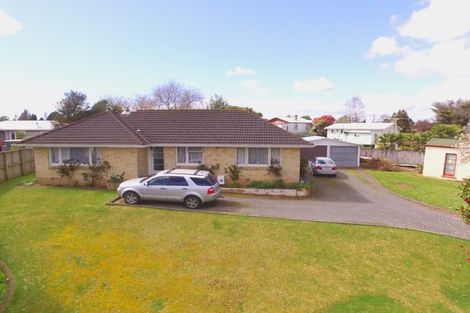 Photo of property in 10 Elizabeth Street, Putaruru, 3411