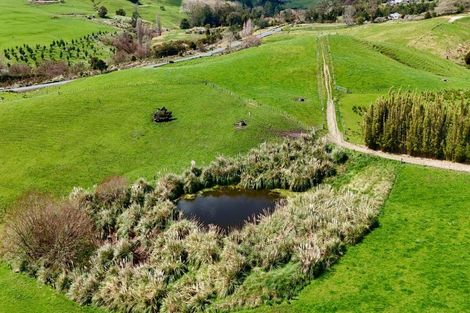Photo of property in 123 Whakapirau Road, Wellsford, 0973