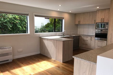 Photo of property in 117 Doon Street, Waverley, Dunedin, 9013