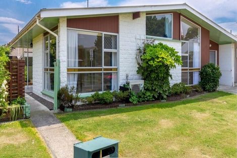 Photo of property in 21 Ida Street, Redwoodtown, Blenheim, 7201