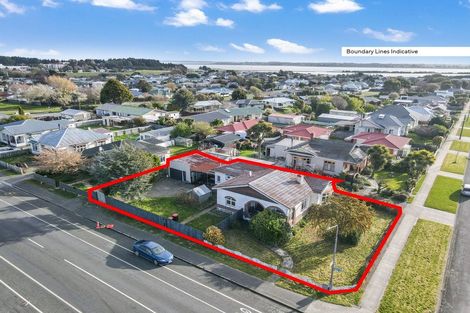Photo of property in 337 Ness Street, Appleby, Invercargill, 9812