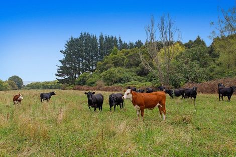 Photo of property in 83a Paul Road, Te Teko, Whakatane, 3192