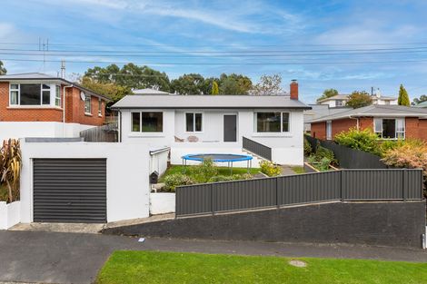 Photo of property in 25 Elwyn Crescent, Green Island, Dunedin, 9018