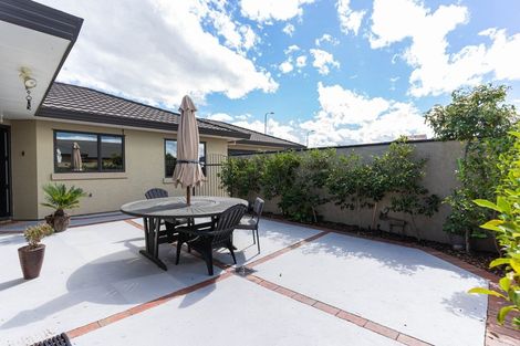 Photo of property in 111 Fraser Drive, Feilding, 4702