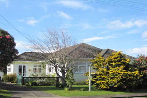 Photo of property in 46 Parker Avenue, Levin, 5510