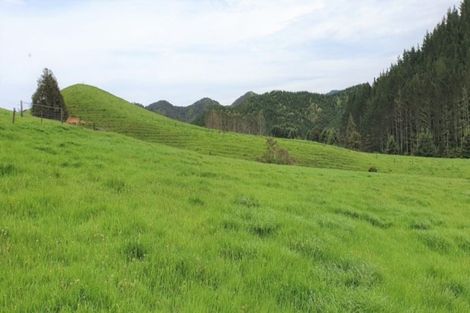 Photo of property in 72 Cogswell Road, Raglan, 3295