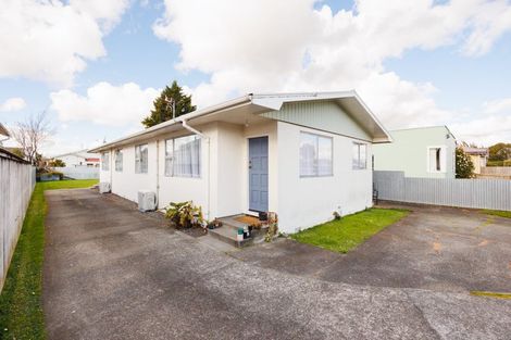 Photo of property in 101 Shamrock Street, Takaro, Palmerston North, 4412