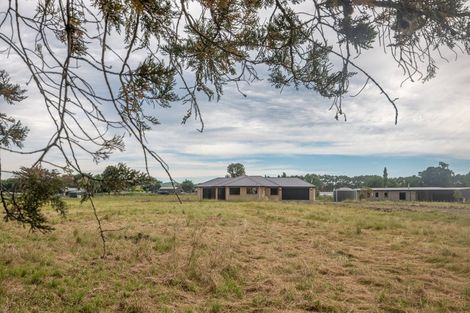 Photo of property in 63 Farm Road, Waipukurau, 4284