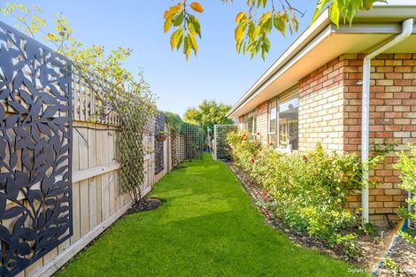 Photo of property in 19 De Castro Drive, Blenheim, 7201