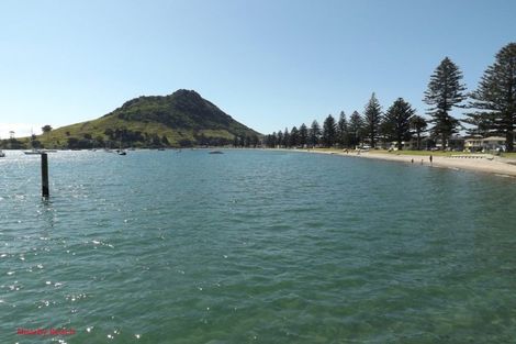 Photo of property in 8b Puriri Street, Mount Maunganui, 3116