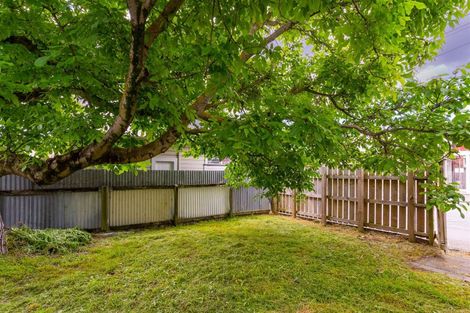 Photo of property in 24 Jellicoe Street, Martinborough, 5711
