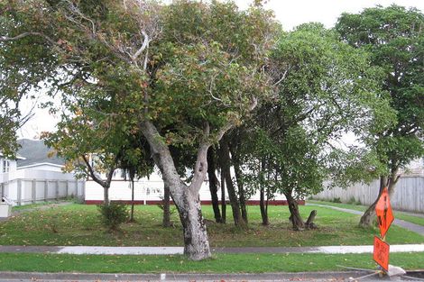 Photo of property in 51 Chapman Crescent, Naenae, Lower Hutt, 5011