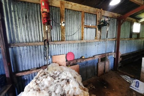 Photo of property in 183 Gunn Road, Warepa, Balclutha, 9273