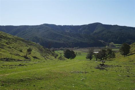 Photo of property in 497 Tadmor Valley Road, Tapawera, Wakefield, 7096