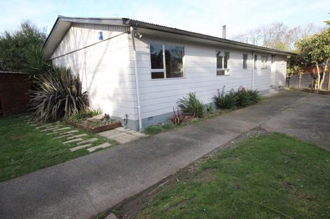 Photo of property in 40 Leicester Street, Terrace End, Palmerston North, 4410