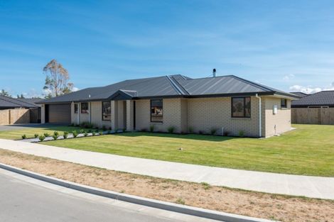 Photo of property in 42 Grigg Drive, Witherlea, Blenheim, 7201
