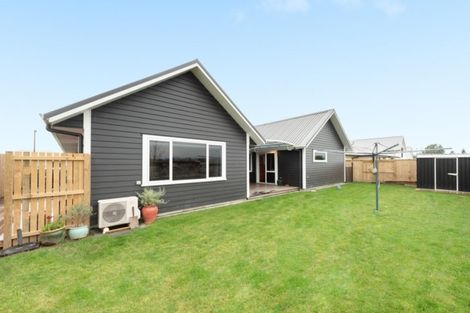 Photo of property in 12 Saint Thomas Avenue, Pyes Pa, Tauranga, 3112