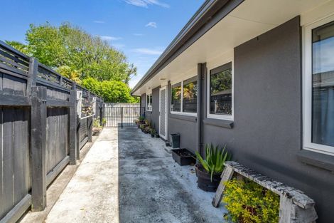 Photo of property in 112b Weraroa Road, Levin, 5510