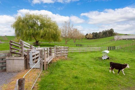 Photo of property in 115 Gunn Road, Matamata, 3472