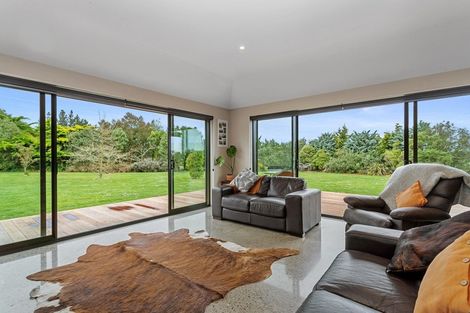 Photo of property in 167 Marshmans Road, Ashley, Rangiora, 7477