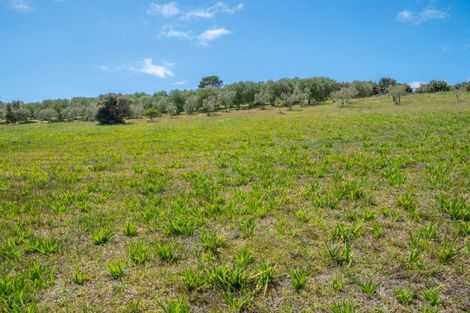 Photo of property in 121b Olive View Heights Drive, Taipa, 0420