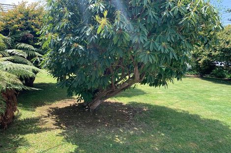 Photo of property in 112 Fred Taylor Drive, Westgate, Auckland, 0814