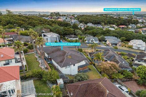 Photo of property in 56 Ribbonwood Crescent, Goodwood Heights, Auckland, 2105