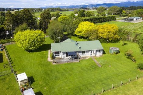 Photo of property in 71 Whelans Road, Levin, 5571