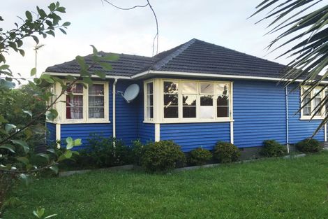 Photo of property in 33 Ivanhoe Road, Grey Lynn, Auckland, 1021