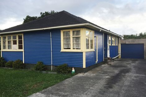 Photo of property in 33 Ivanhoe Road, Grey Lynn, Auckland, 1021