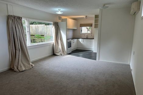 Photo of property in 52 Tuarangi Road, Grey Lynn, Auckland, 1021