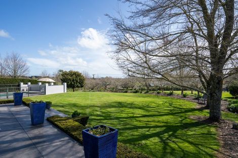 Photo of property in 80 Maungakawa Road, Cambridge, 3496