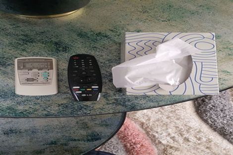 Photo of property in 55 Coronation Road, Hillcrest, Auckland, 0627