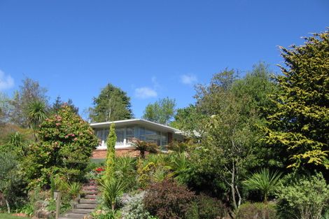 Photo of property in 31 Henry Hill Road, Taupo, 3330