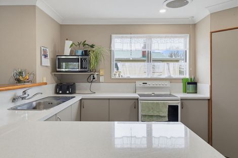 Photo of property in 105 Oxford Street, Ashhurst, 4810