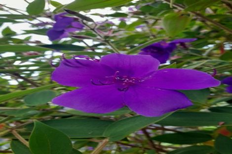 Photo of property in 279 Taratara Road, Kaeo, 0479