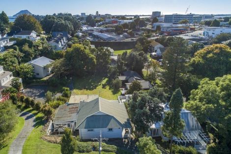 Photo of property in 63 Fifth Avenue, Tauranga, 3110