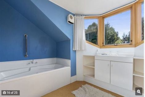 Photo of property in 103 Buccleugh Street, North East Valley, Dunedin, 9010