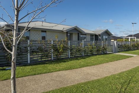 Photo of property in 77 Te Ranga Memorial Drive, Pyes Pa, Tauranga, 3112