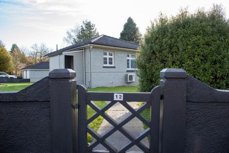 Photo of property in 12 Whitehaven Street, Lawrence, 9532